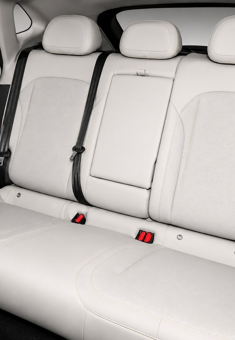 WOX Nebula rear passenger seats